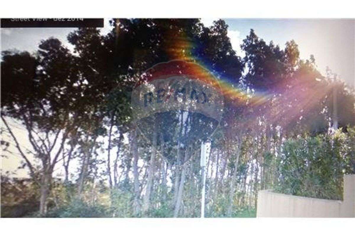 Terreno  para venda - Grande imagem: 5/17