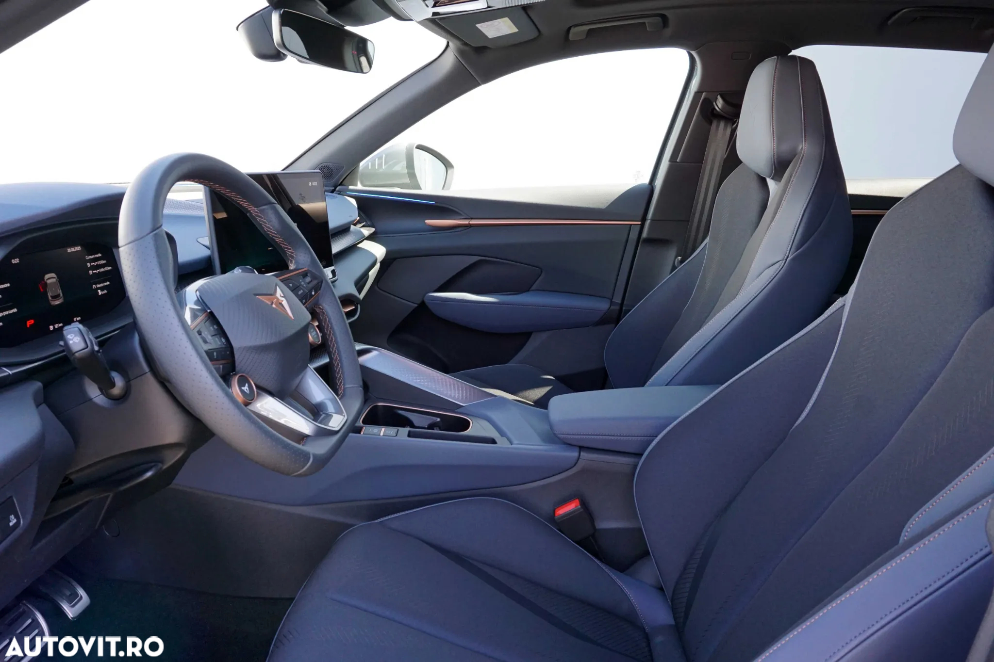 Cupra Terramar - 13