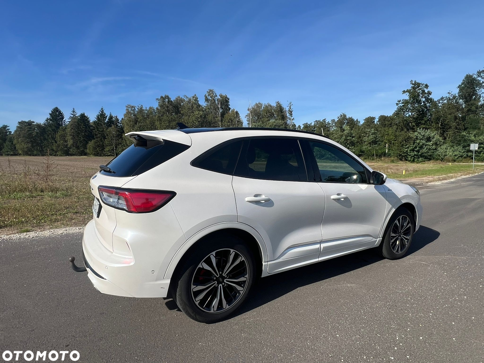 Ford Kuga 2.0 EcoBlue 4x4 ST-LINE - 4