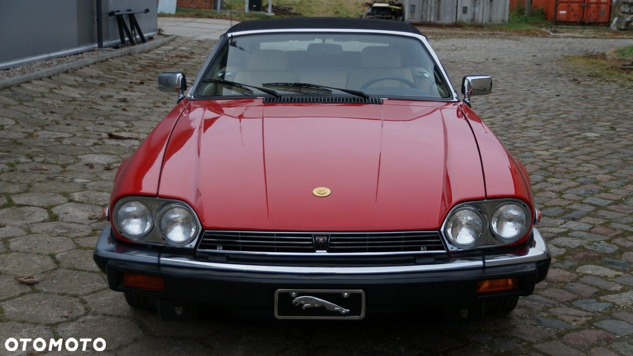Jaguar XJS - 8