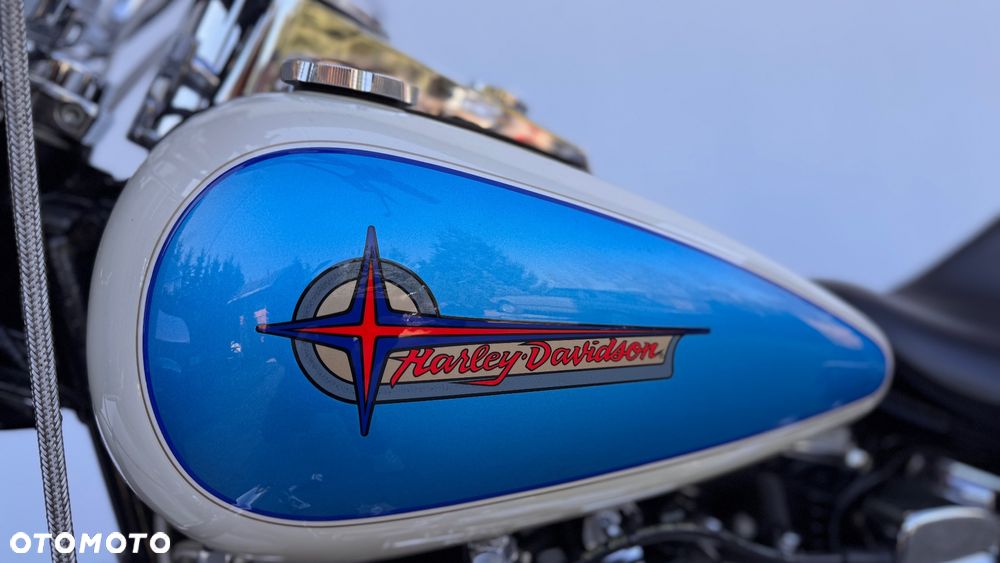Harley-Davidson Softail Heritage Classic - 20