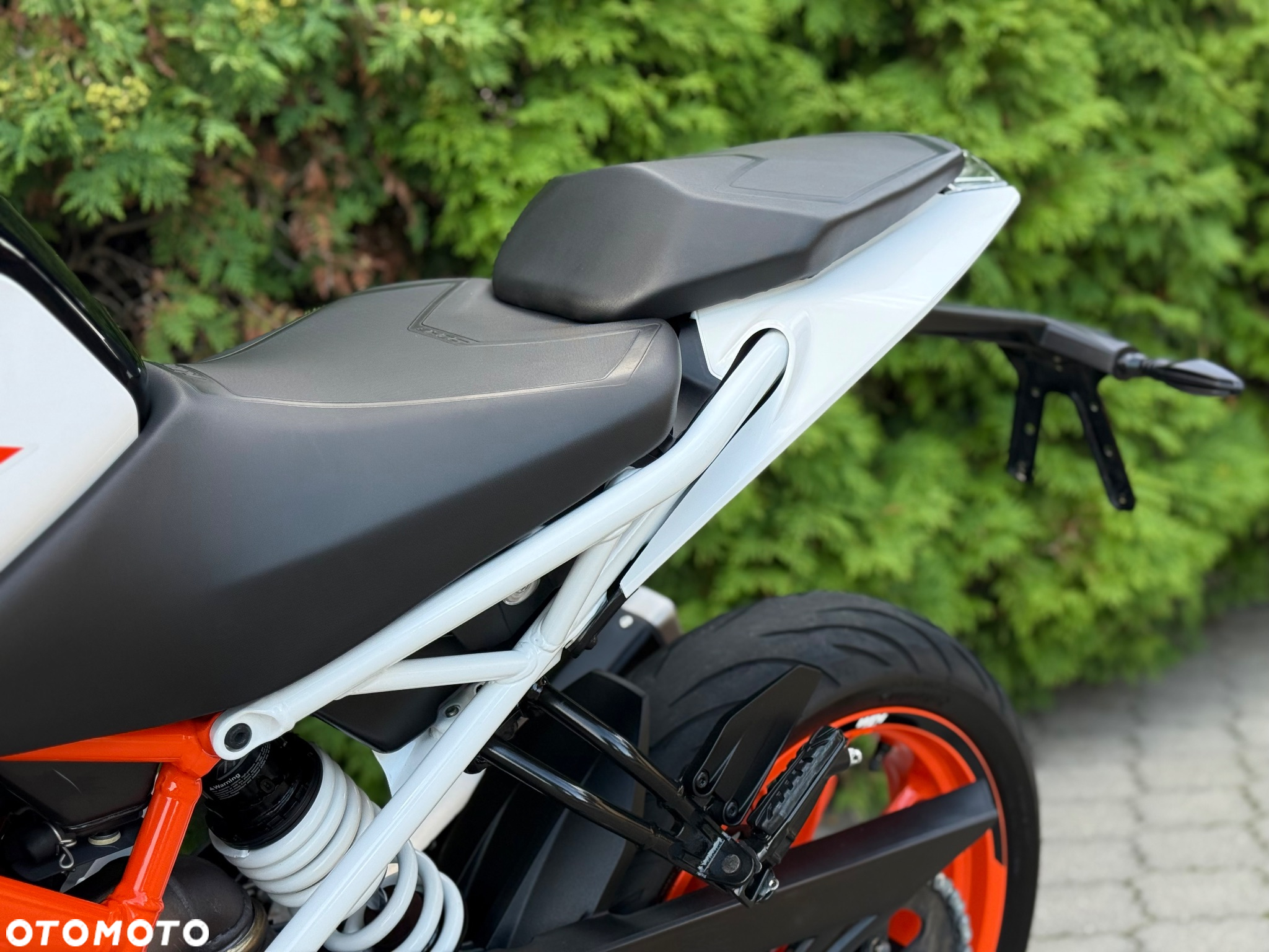 KTM Duke - 38