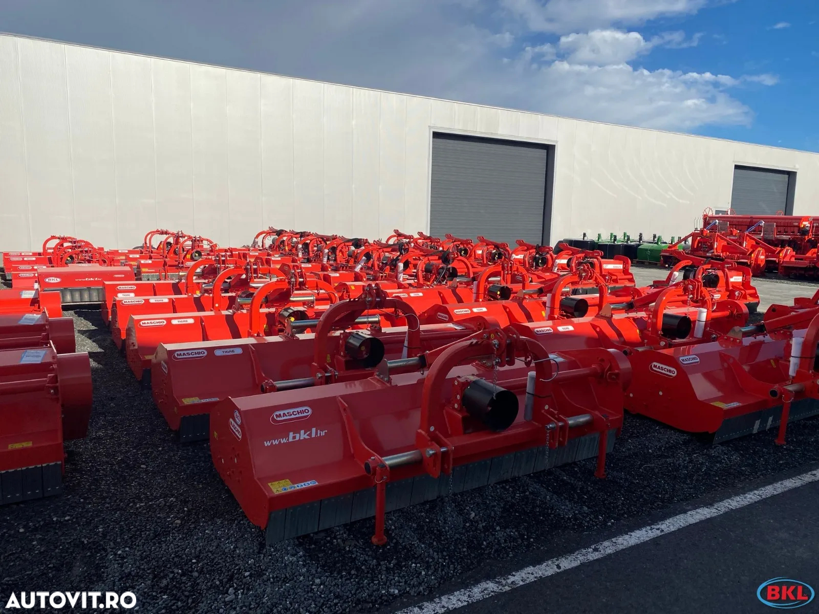 Maschio BIRBA,FURBA,BARBI,BELLA,BRAVA,CORAZZA,TIGRE,BISONTE,BUFALO,CHIARA,TORNADO,LEOPARD,GEMELLA,GIRAFFA - 6