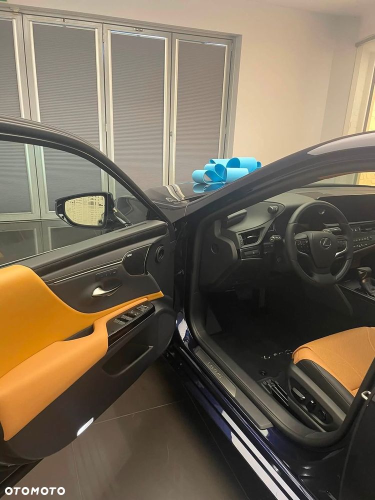 Lexus ES 300h Prestige - 6