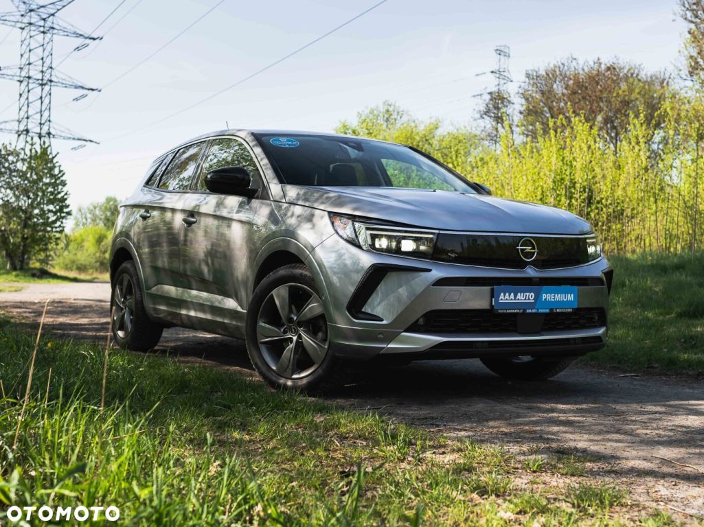 Opel Grandland X - 1