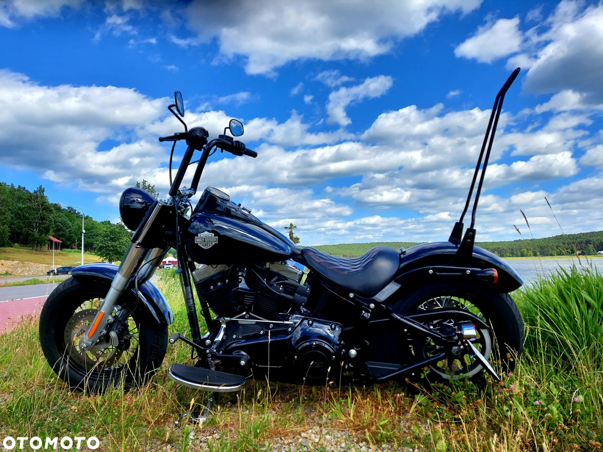 Harley-Davidson Softail Slim - 16