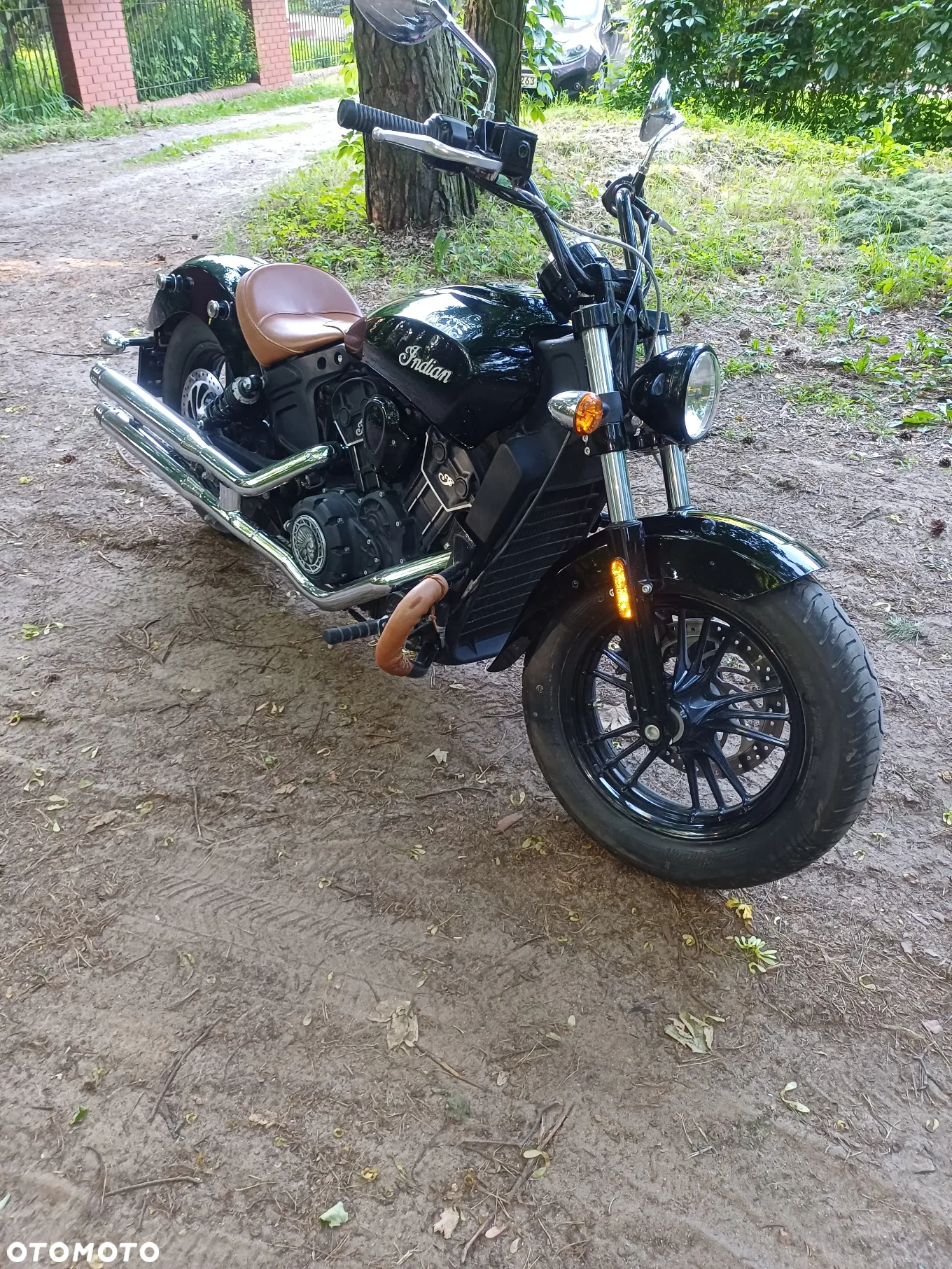 Indian Scout - 4
