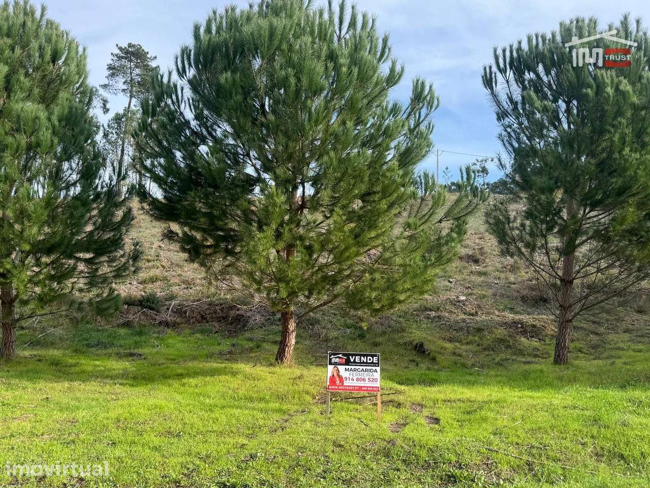 Terreno com pinhal com área 7.700 m2 com possível viabilidade de co... - Grande imagem: 3/29