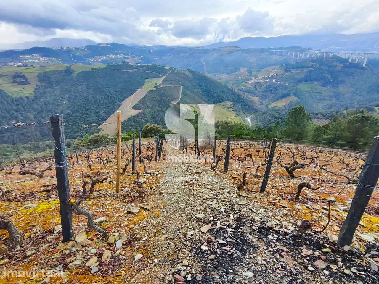 Terreno em Vila real - Grande imagem: 2/16