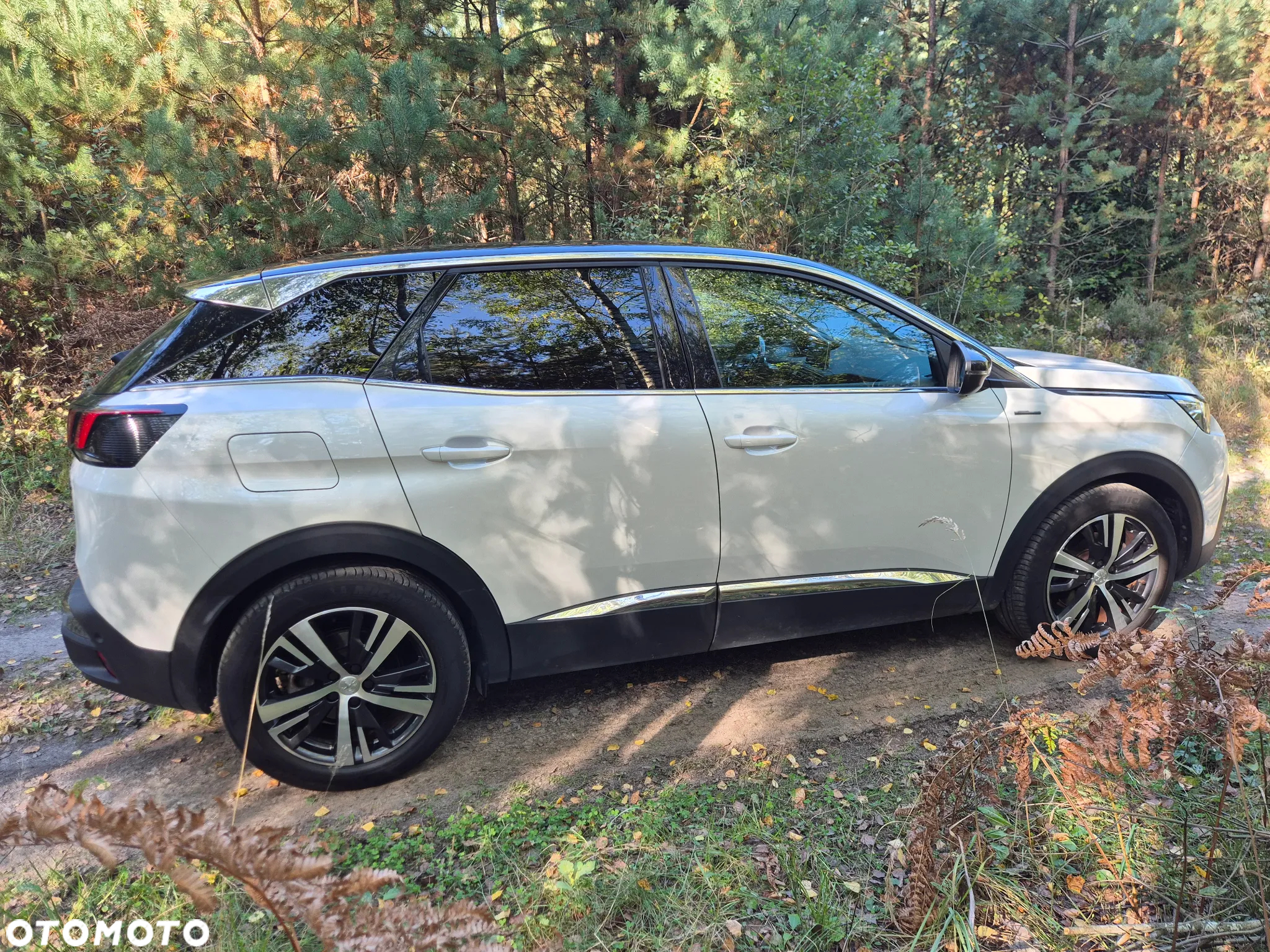 Peugeot 3008 - 3