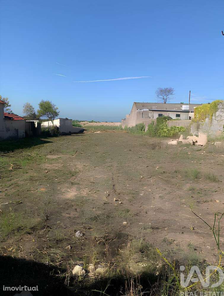 Terreno para construção em Madalena - Grande imagem: 2/5