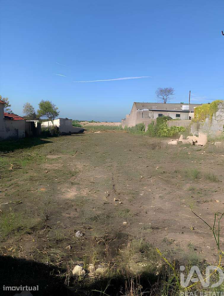 Terreno para construção em Madalena - Grande imagem: 2/5