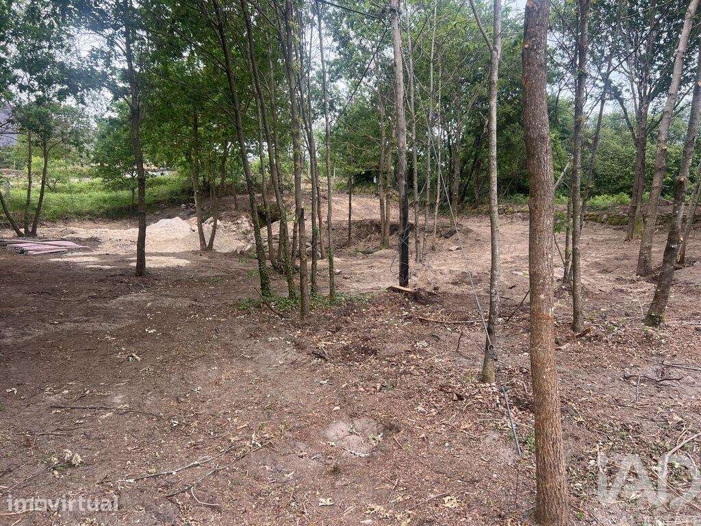 Terreno para construção em Carvalhais e Candal - Grande imagem: 4/6