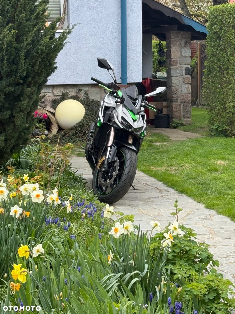 Kawasaki Z - 12