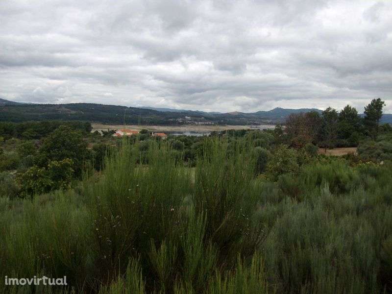 Terreno RUSTICO 3500m2 c/ vista deslumbrante sobre Albufeira Rio Vilar - Grande imagem: 3/10