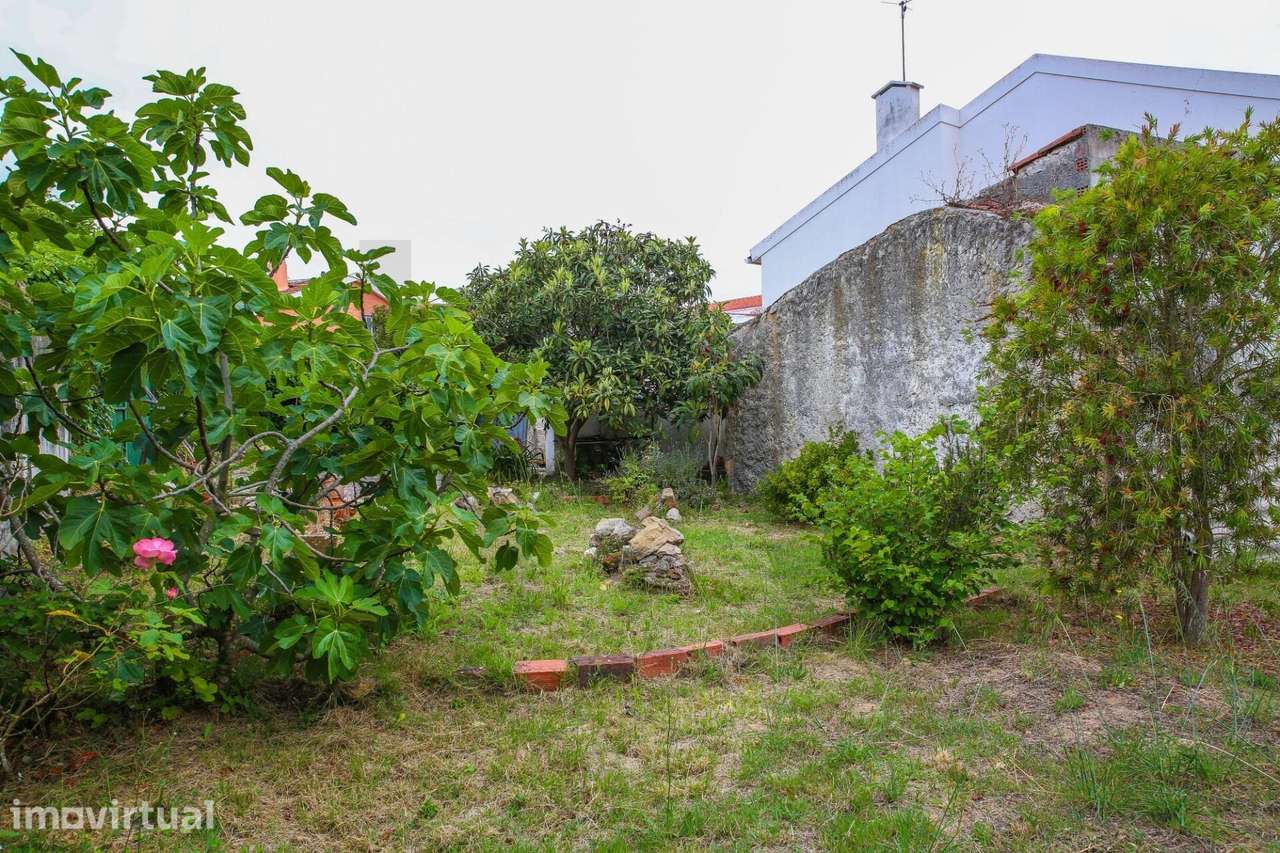 Terreno  com ruinas e árvores de fruto - Grande imagem: 5/9