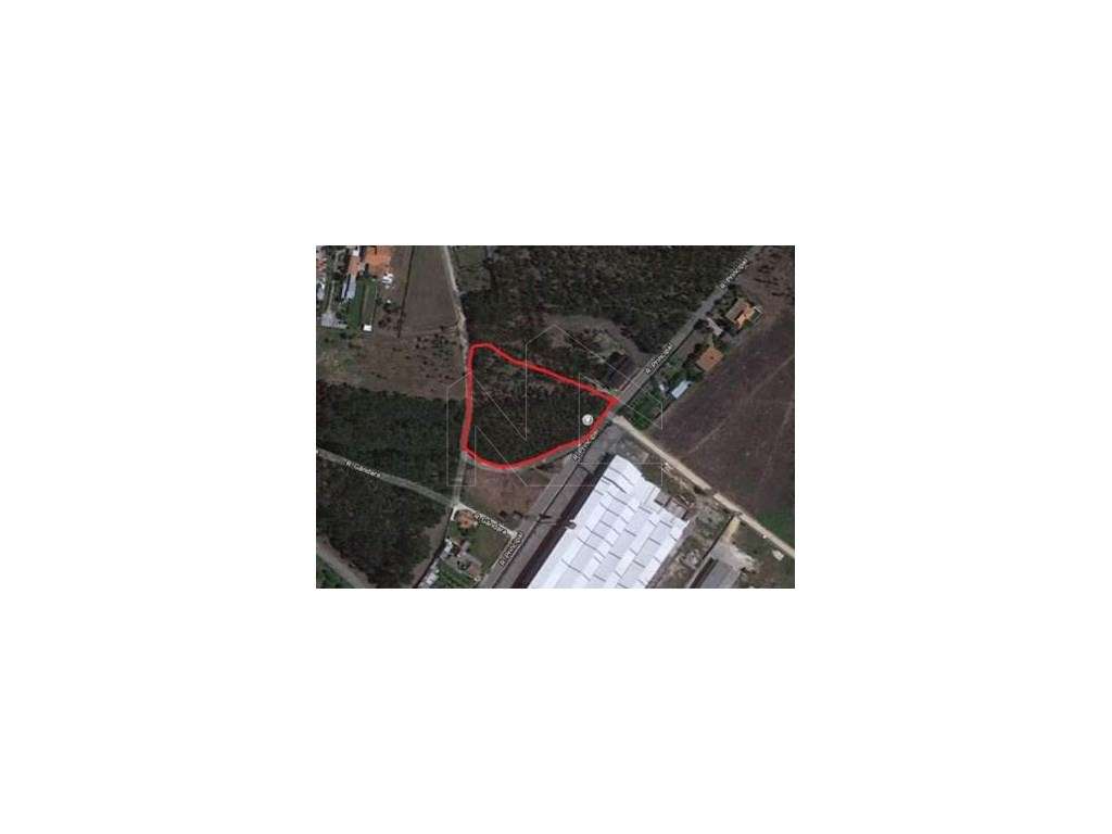 Terreno com viabilidade construção a 3 minutos de Águeda - Grande imagem: 2/4