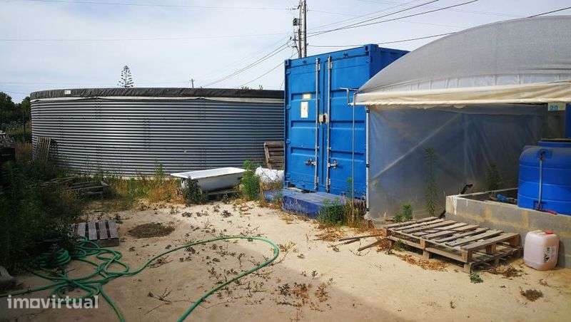 Quinta 2 hectares com armazém 140 m2, água e máquina de fertirega - Grande imagem: 3/4