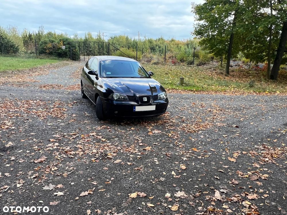 Seat Ibiza 2005 photo 3