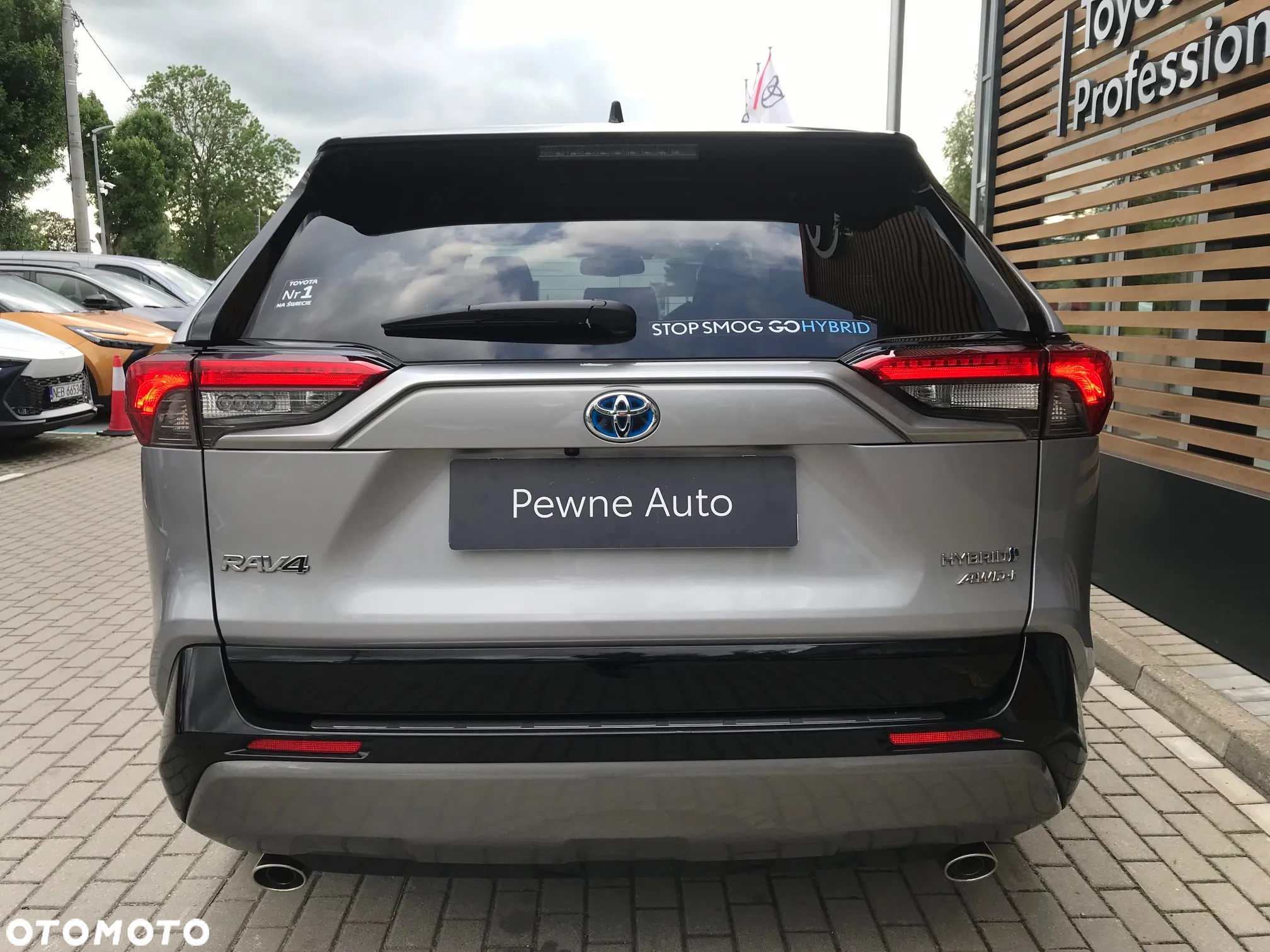 Toyota RAV4 2.5 Hybrid Selection 4x4 - 10