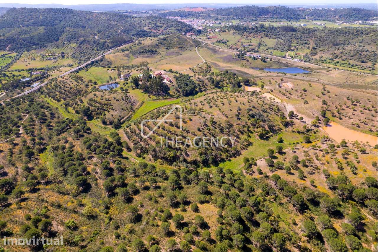 Herdade de 80ha em Silves, Algarve - Turismo Rural - Grande imagem: 5/21