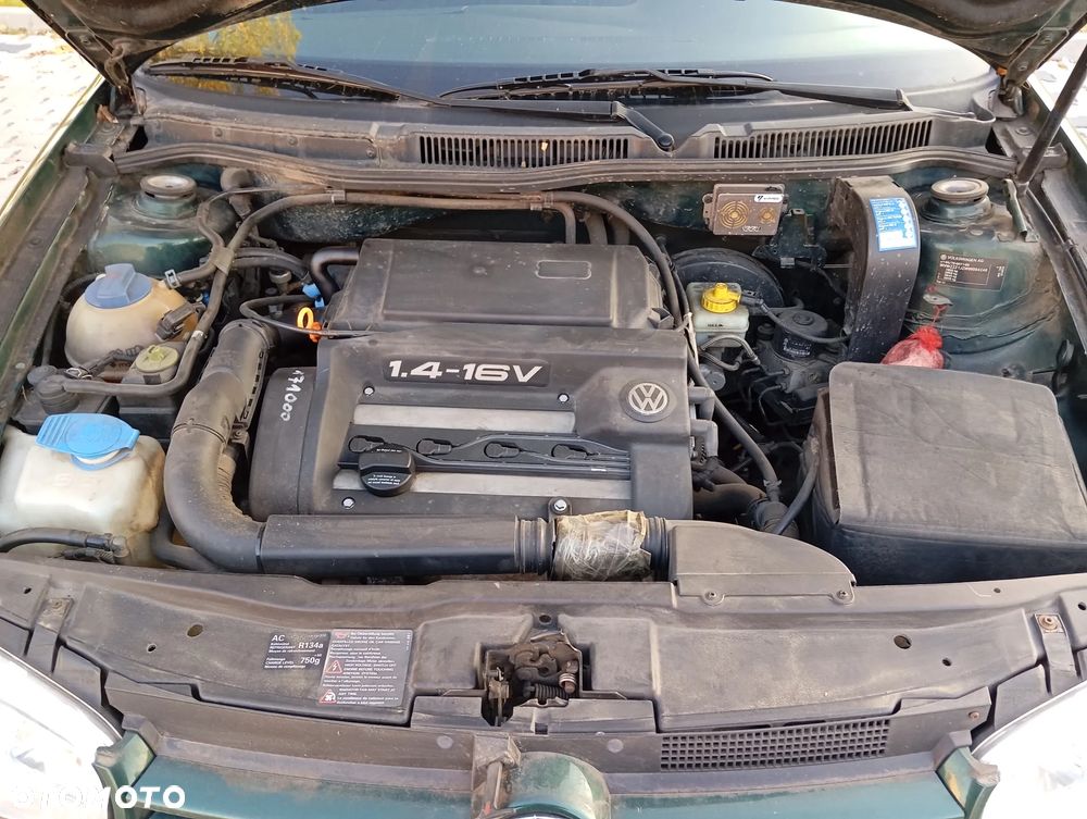 Volkswagen Golf IV 1.4 Basis - 5