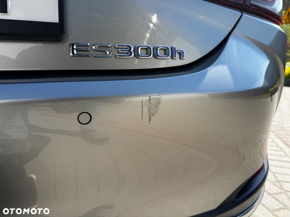 Lexus ES 300h Omotenashi - 28