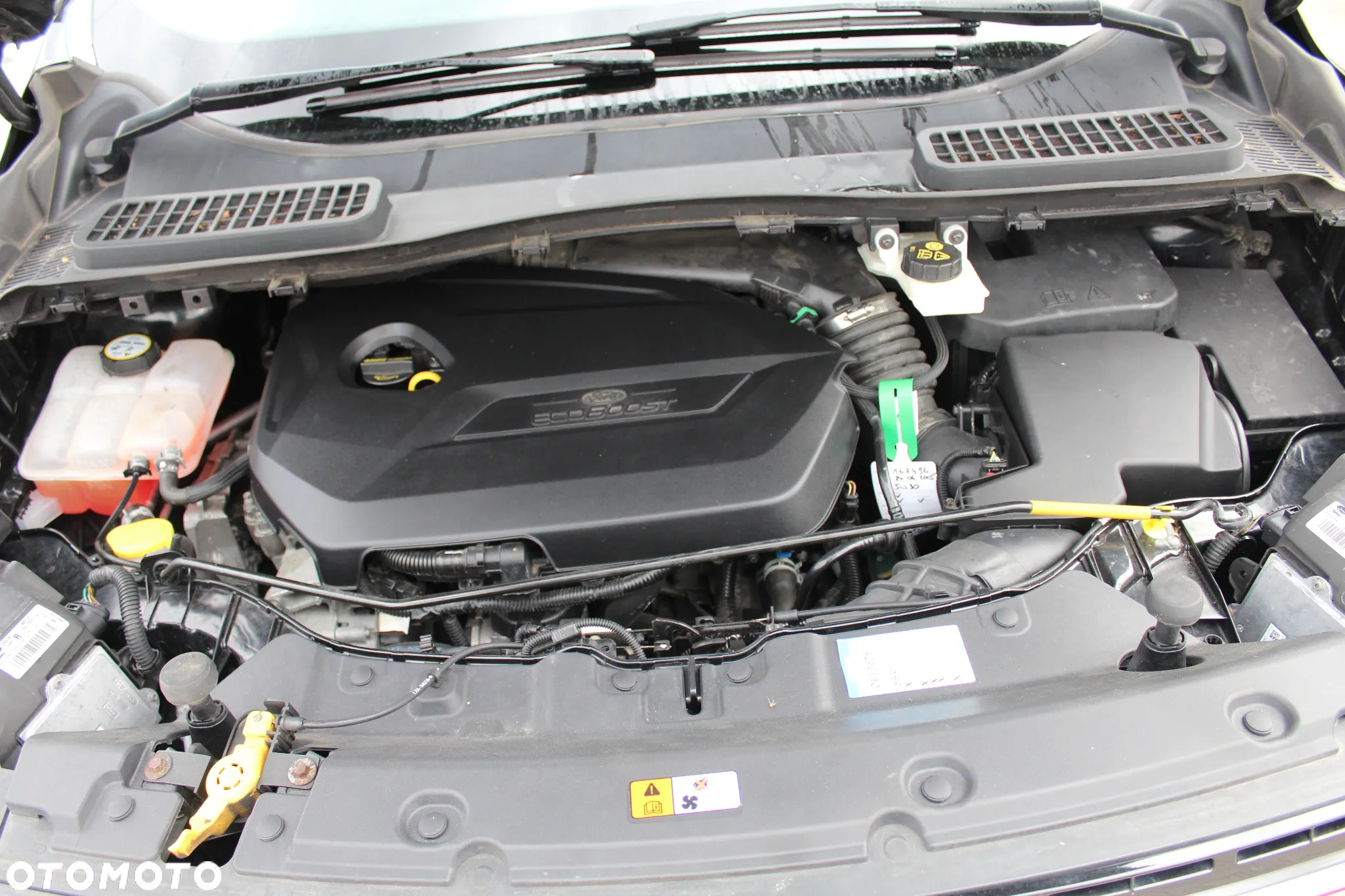 Ford Kuga 1.6 EcoBoost FWD Titanium Plus ASS - 33