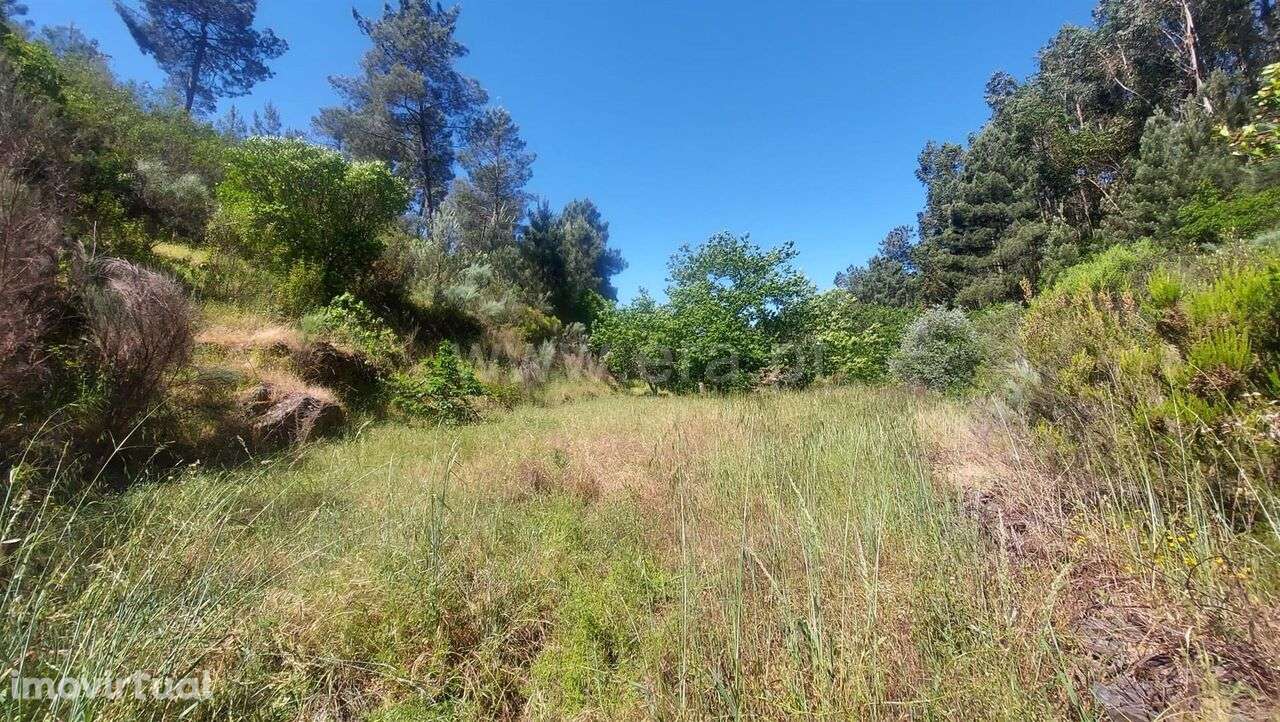 Terreno Rústico / Fundão, Bogas de Cima - Grande imagem: 3/12