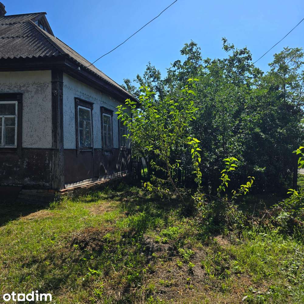 Будинок з ділянкою 55 соток у Ніжинському районі - Повне зображення: 3/17