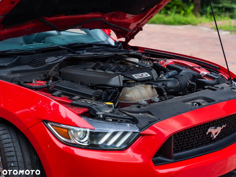 Ford Mustang 5.0 V8 GT - 25
