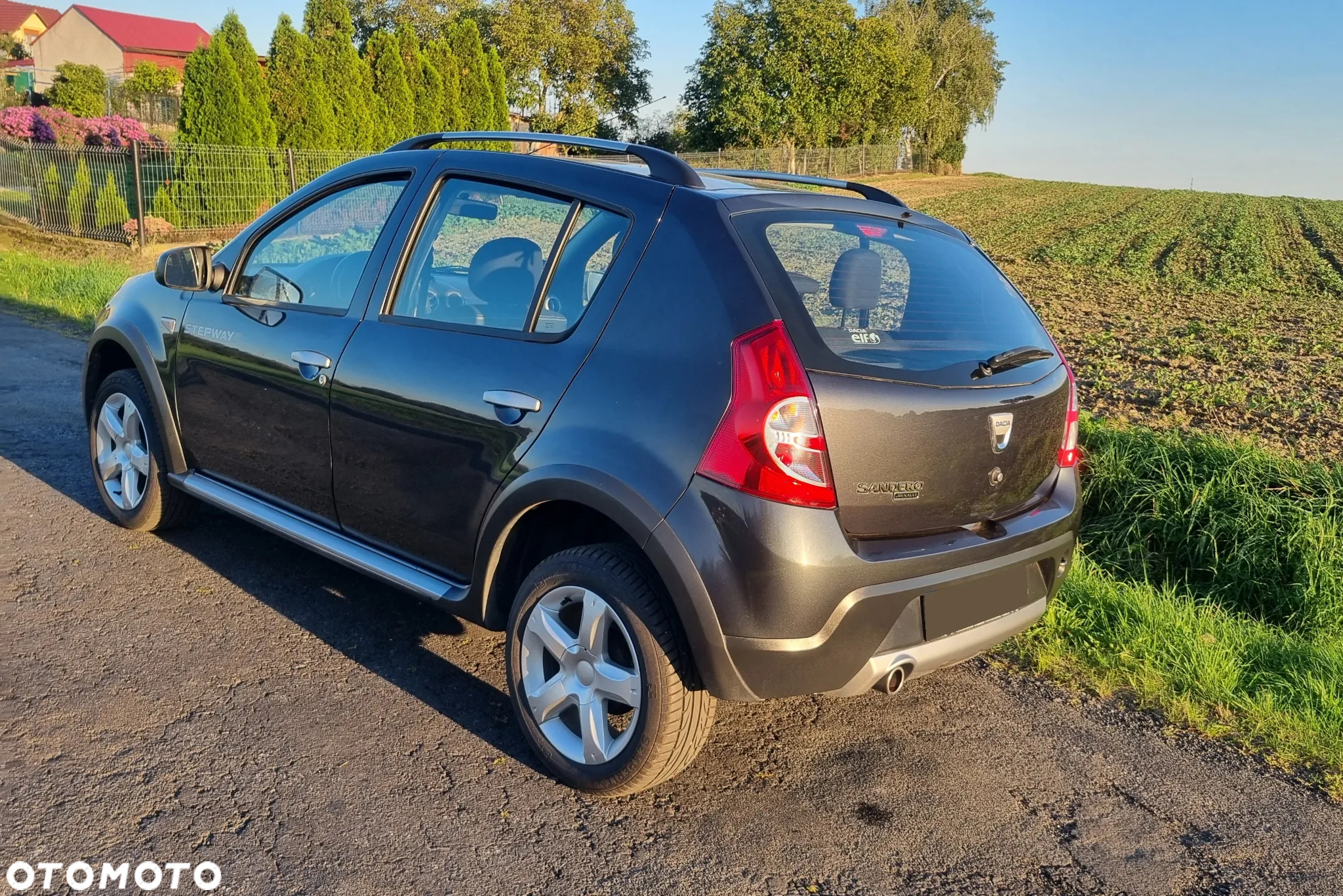 Dacia Sandero Stepway 1.6 - 6