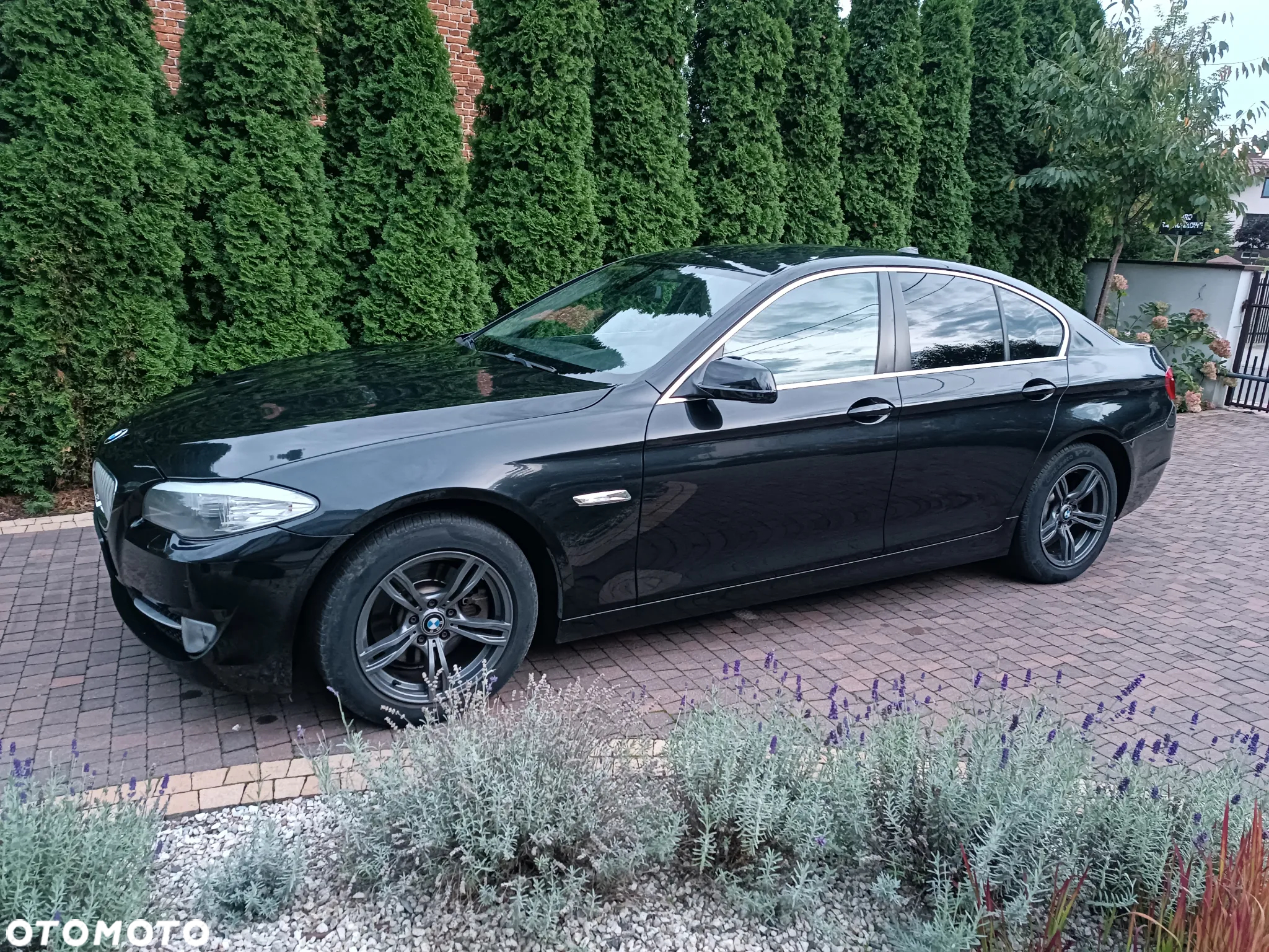 BMW Seria 5 520d - 20