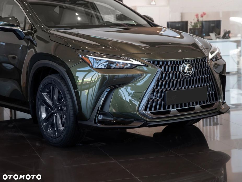 Lexus NX - 6