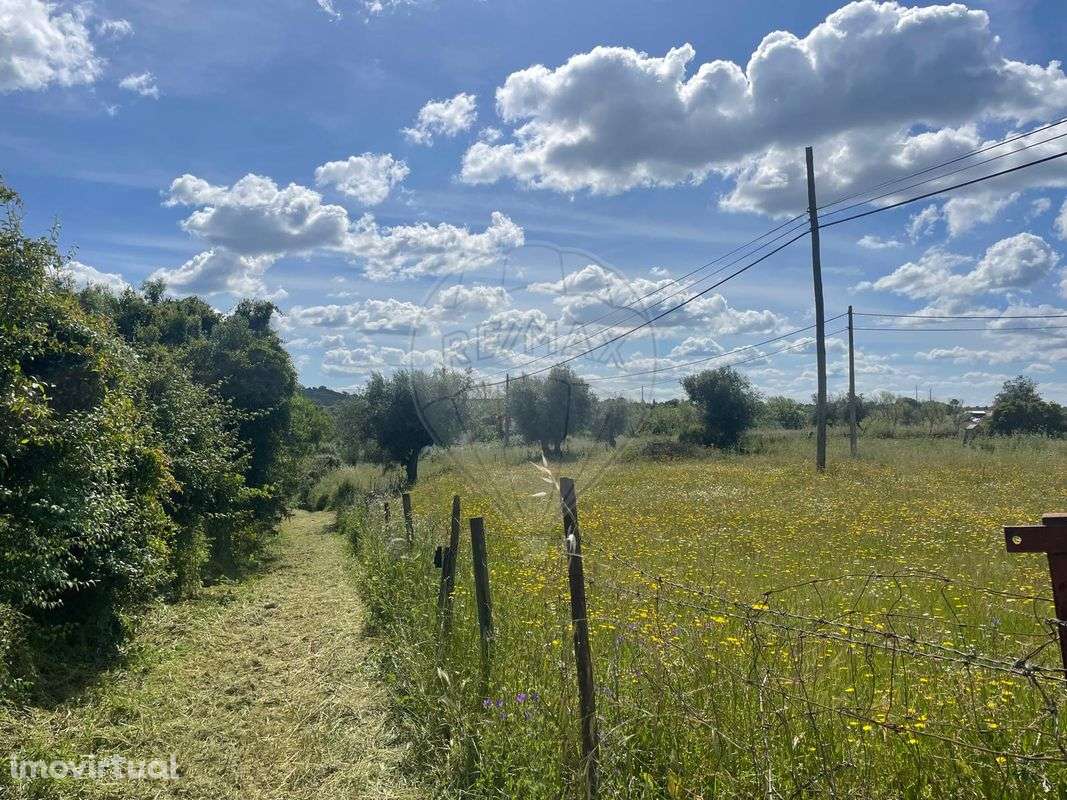 Quinta  para venda - Grande imagem: 5/6