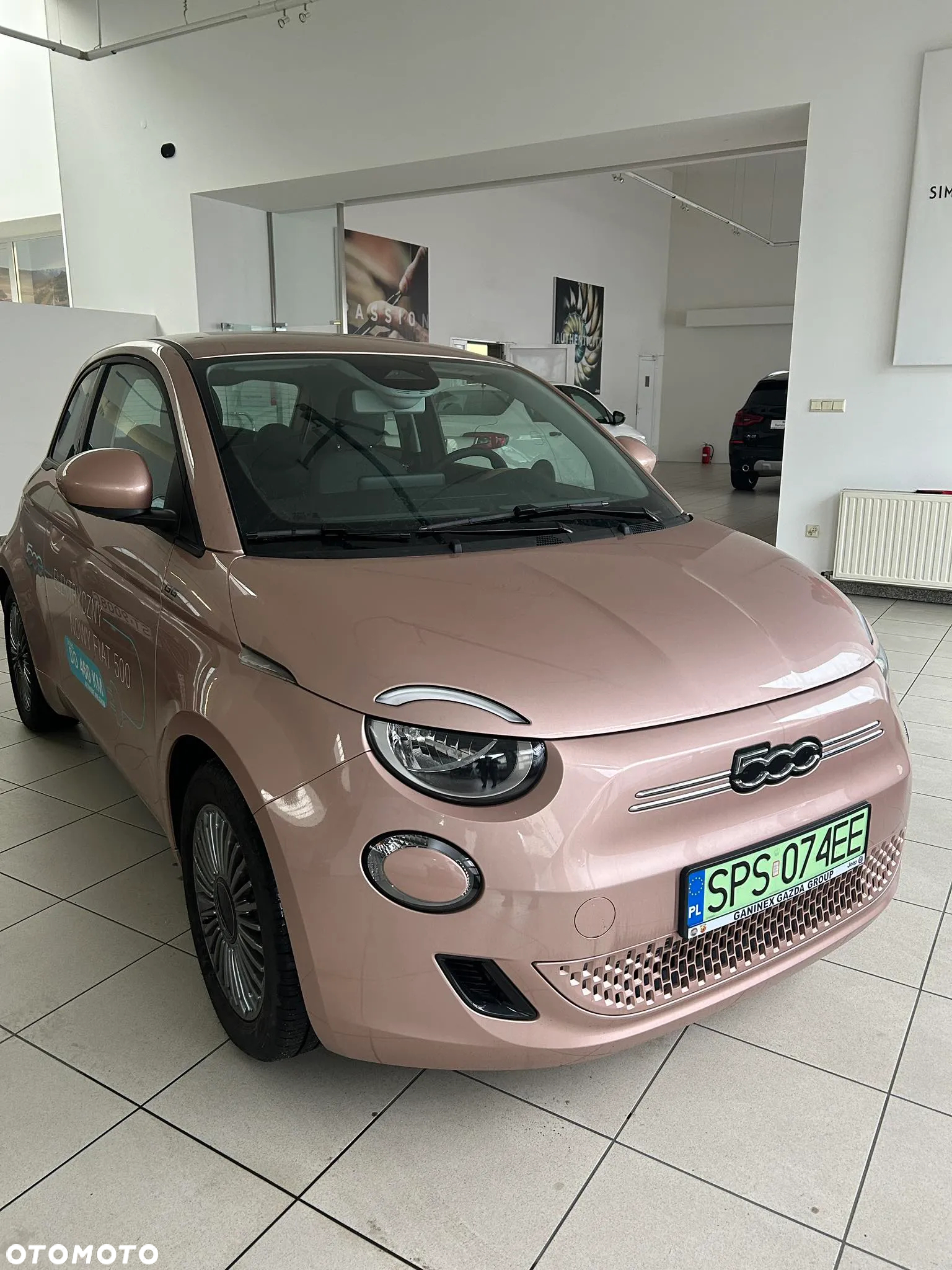 Fiat 500 Icon - 2