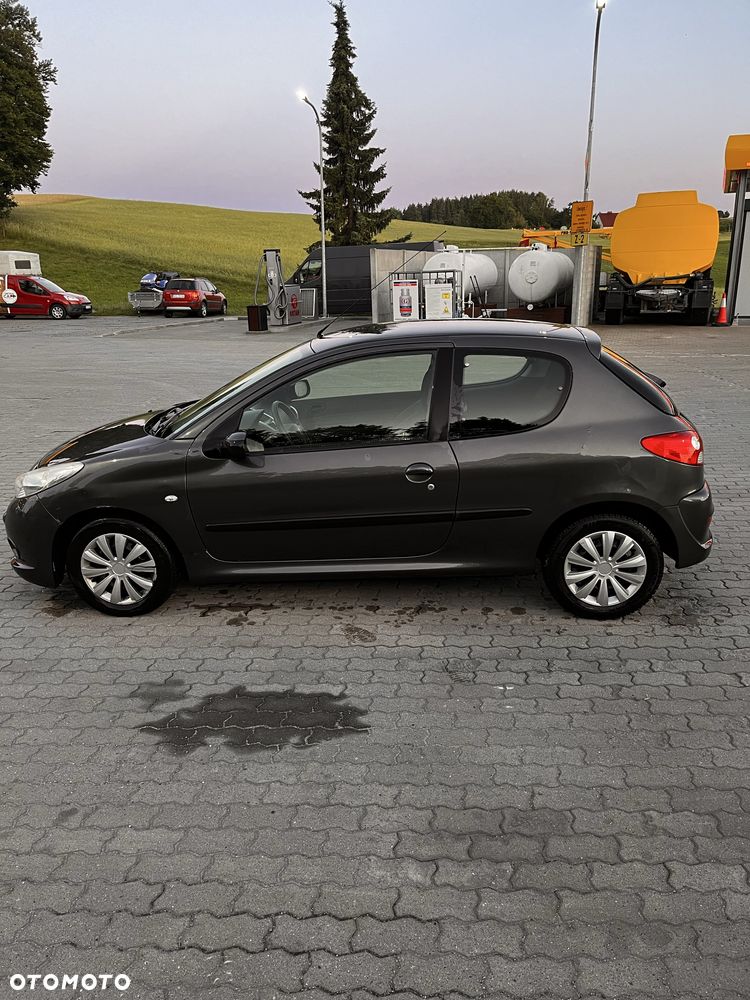 Peugeot 206 plus - 5