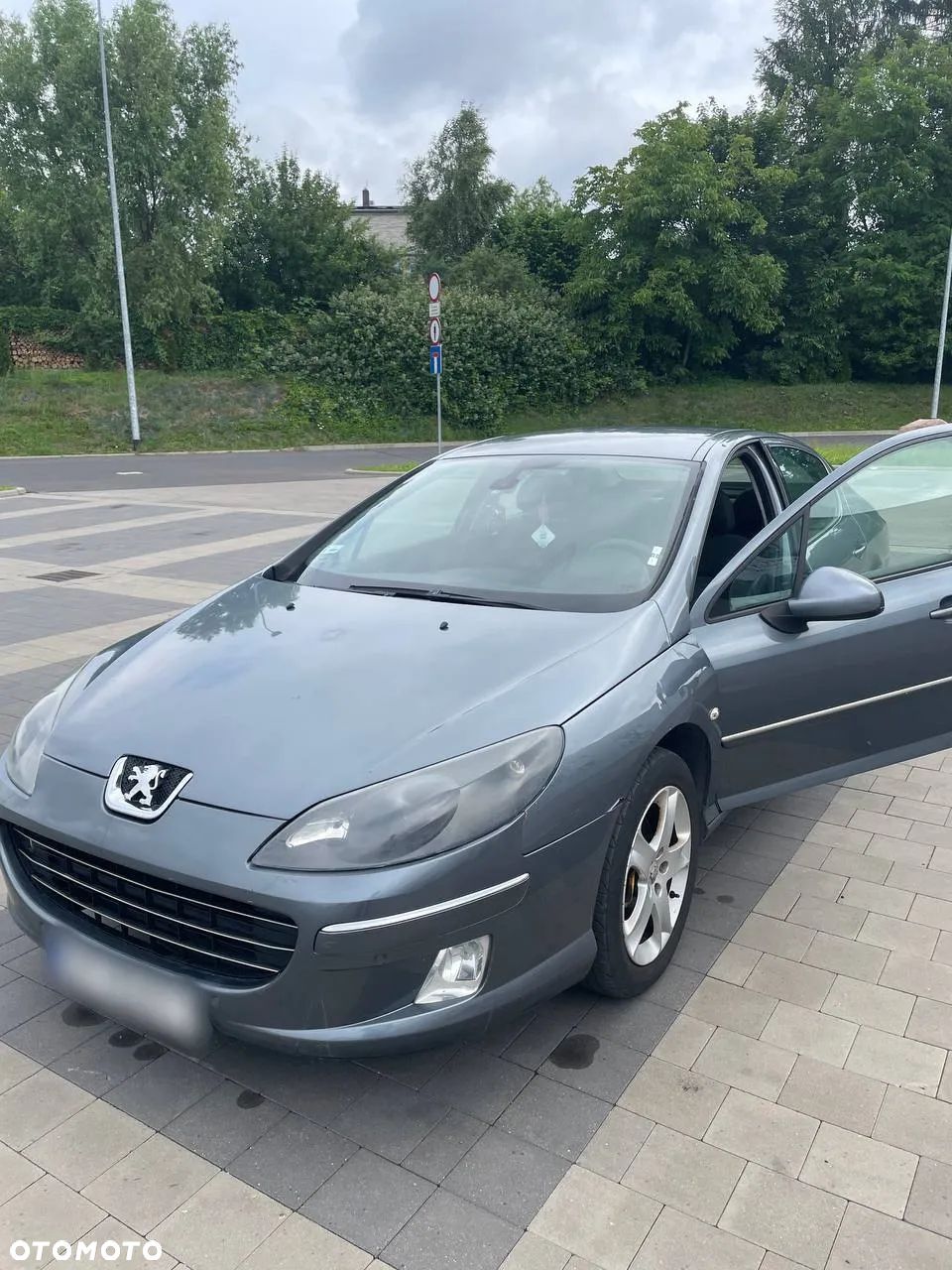 Peugeot 407 - 1