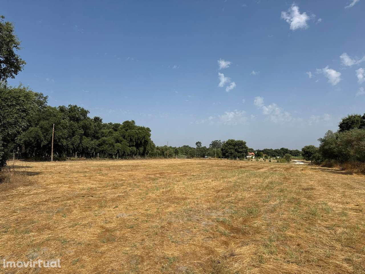 Terreno Rústico, Pinhal Novo - Grande imagem: 3/5