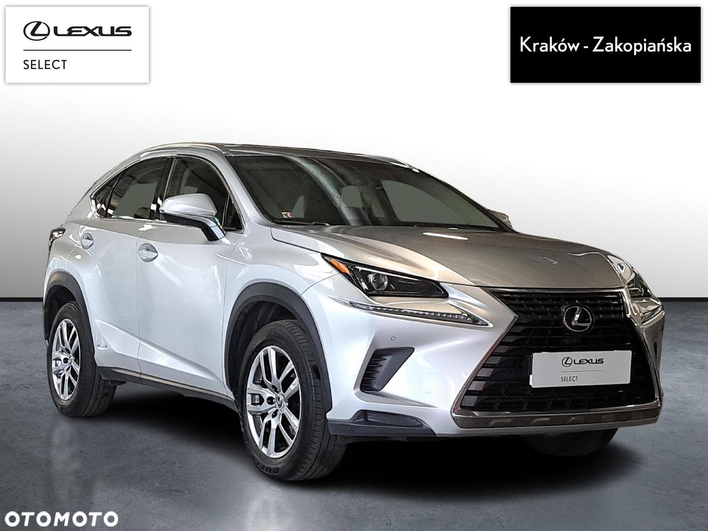 Lexus NX - 3