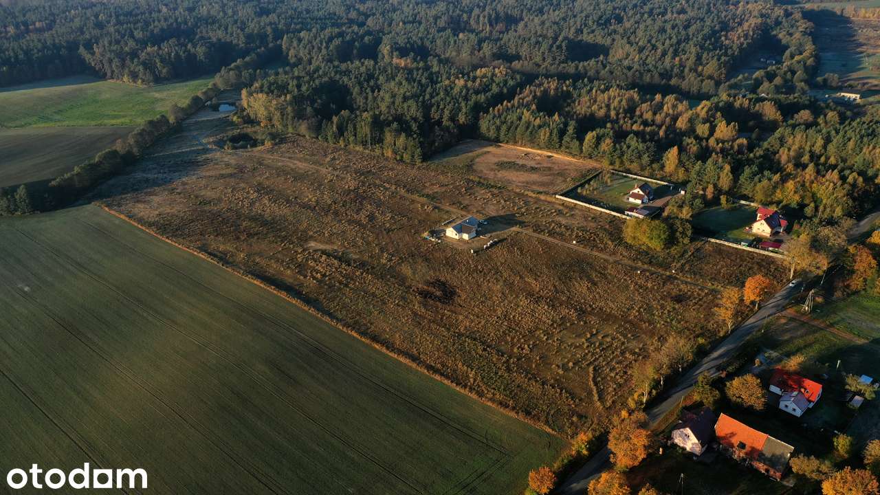 OSTATNIE działki blisko Gdańska - warunki zabudowy, media, droga - Pełny obrazek: 5/11
