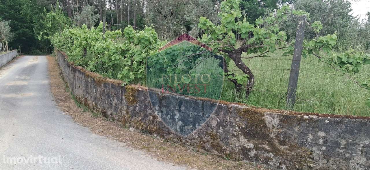 Terreno Para Construção  Venda em Santos Evos,Viseu - Grande imagem: 5/6