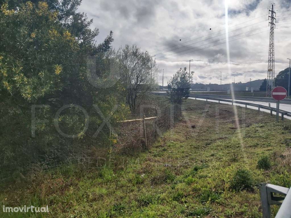 Lote Terreno Construção - Industrial - Mazarefes - Grande imagem: 3/9