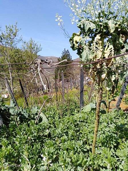 Casa   para  venda . - Grande imagem: 3/6