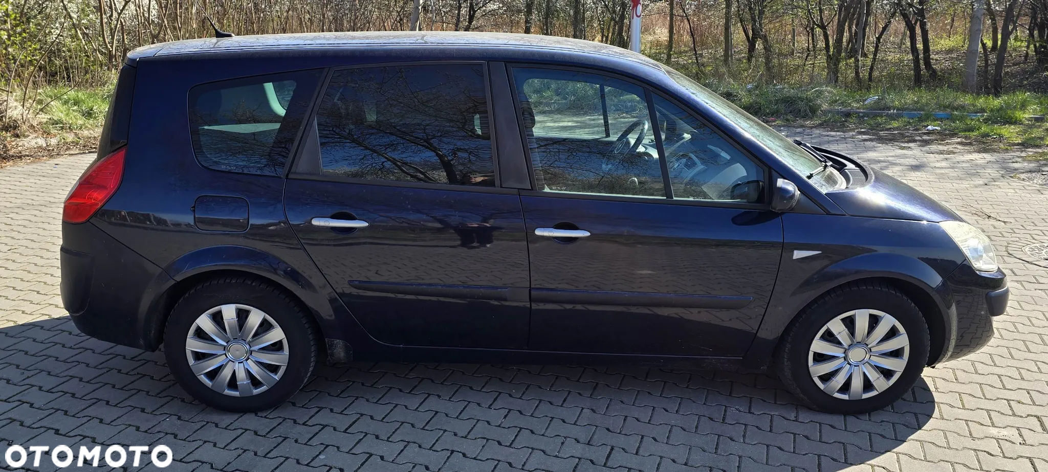 Renault Scenic - 15