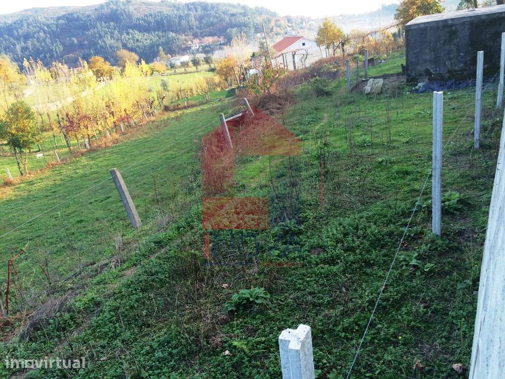Terreno agrícola, Santiago Carreiras - Grande imagem: 3/7