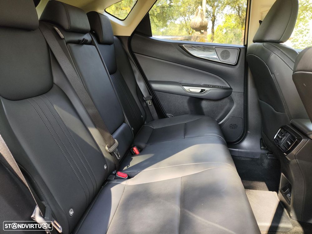 Lexus NX 450h+ Executive - 15