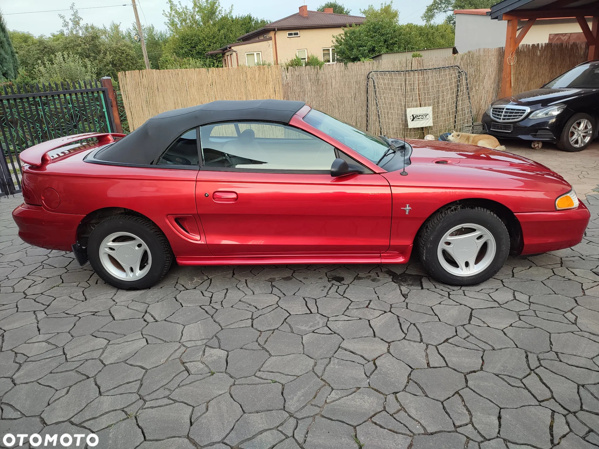 Ford Mustang - 10