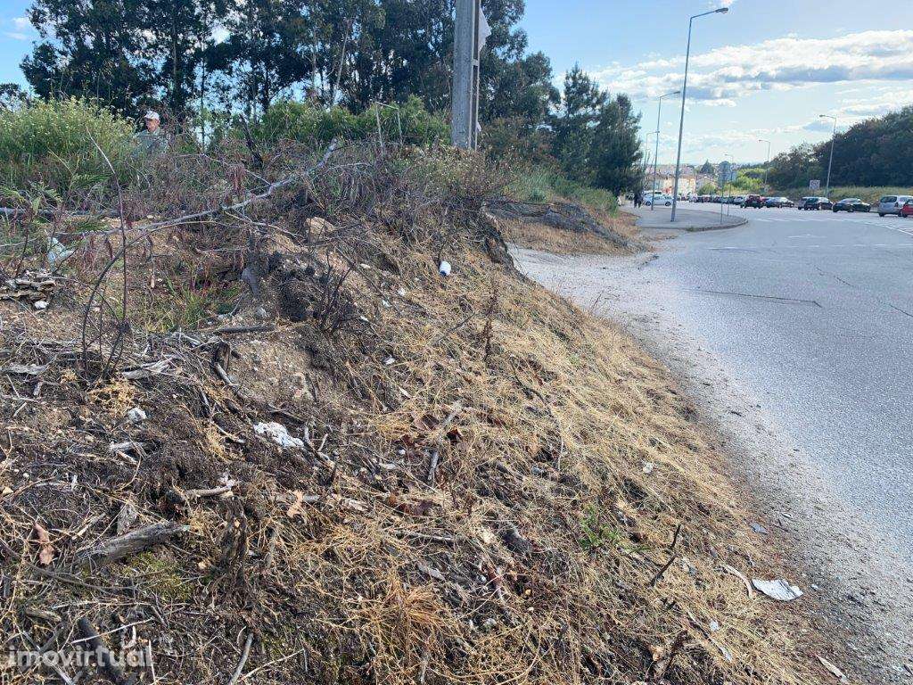 Quinta - Viseu - Grande imagem: 5/5