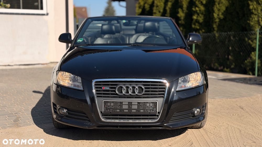 Audi A3 Cabrio 1.9 TDI DPF Ambition - 2